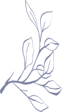 Plantita